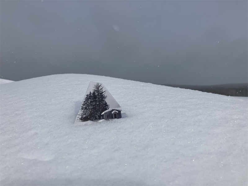 �C���[�W��