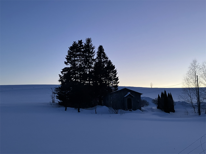 �C���[�W��