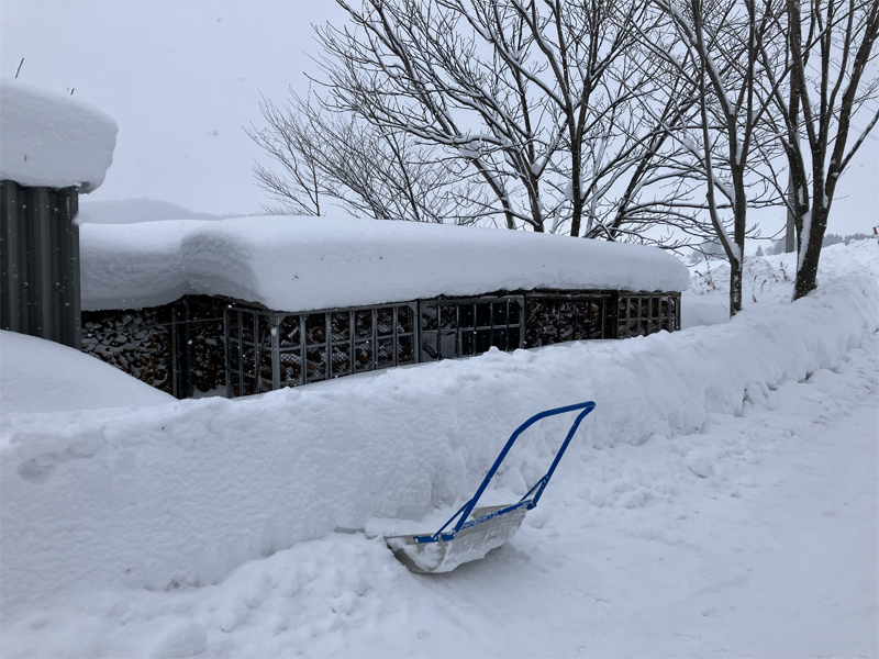 �C���[�W��