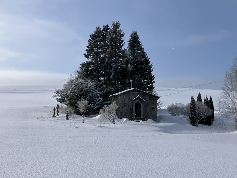 �C���[�W��